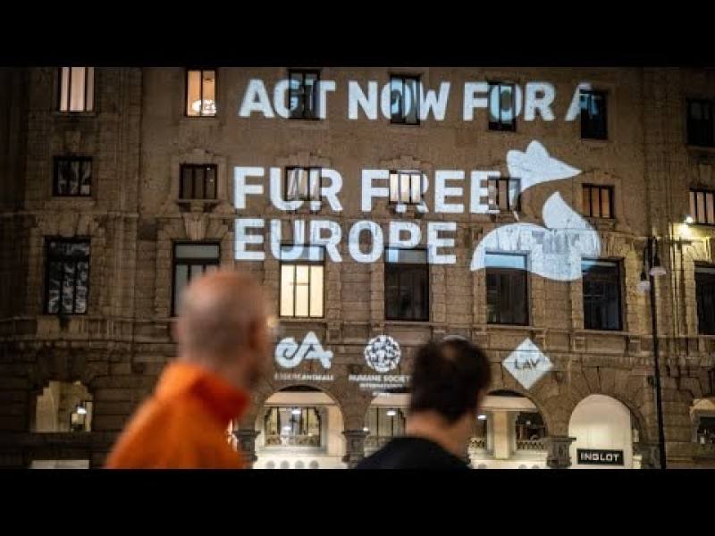 Moda Animal-Free