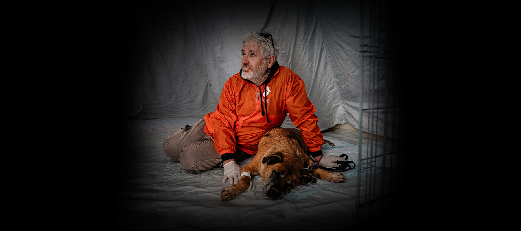 Il tuo 5x1000 per gli animali