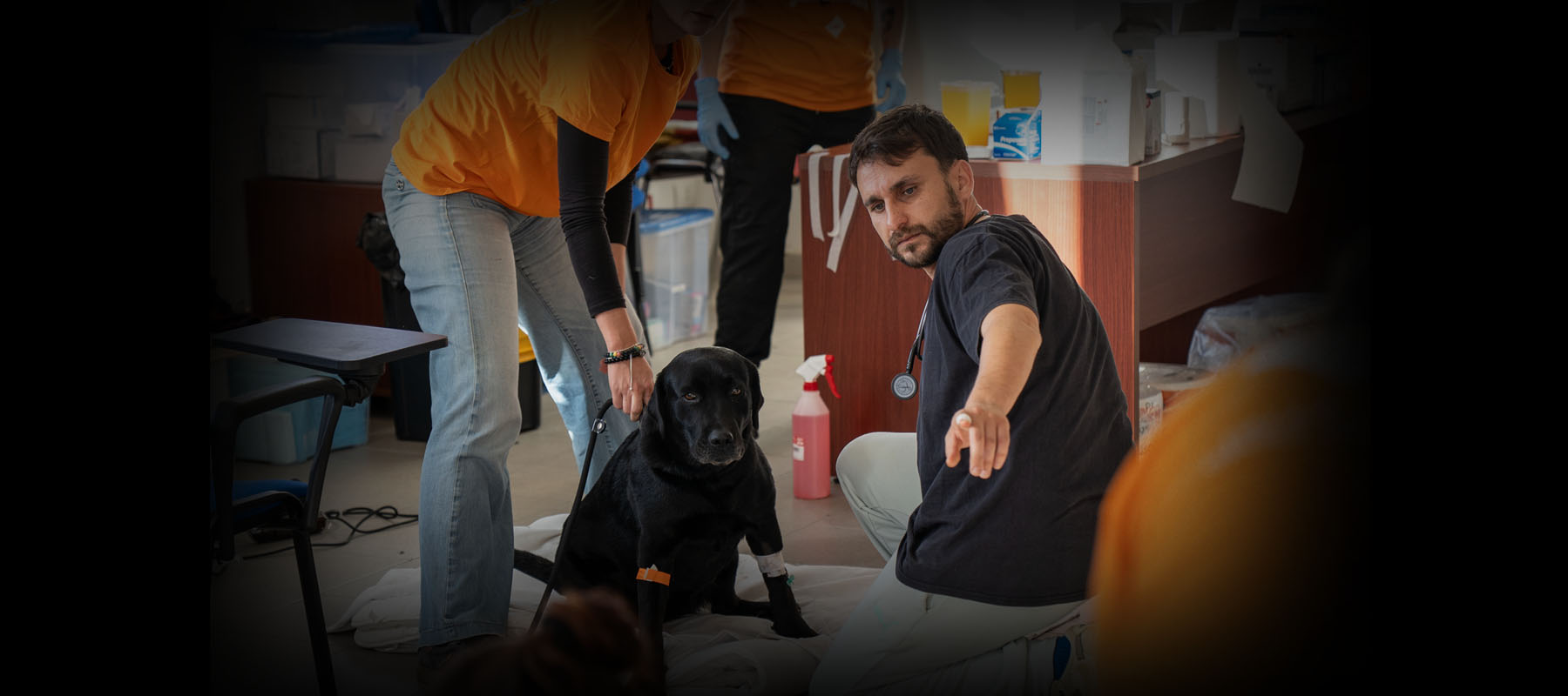 Il tuo 5x1000 per gli animali